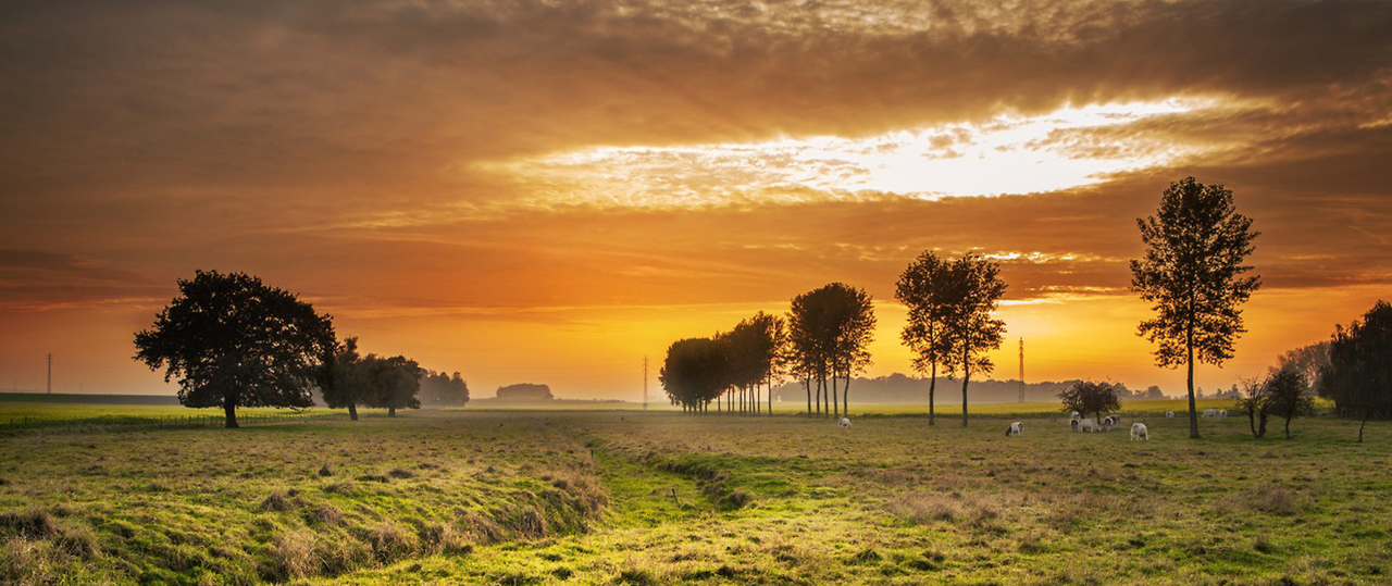 在线手机号轰炸测试