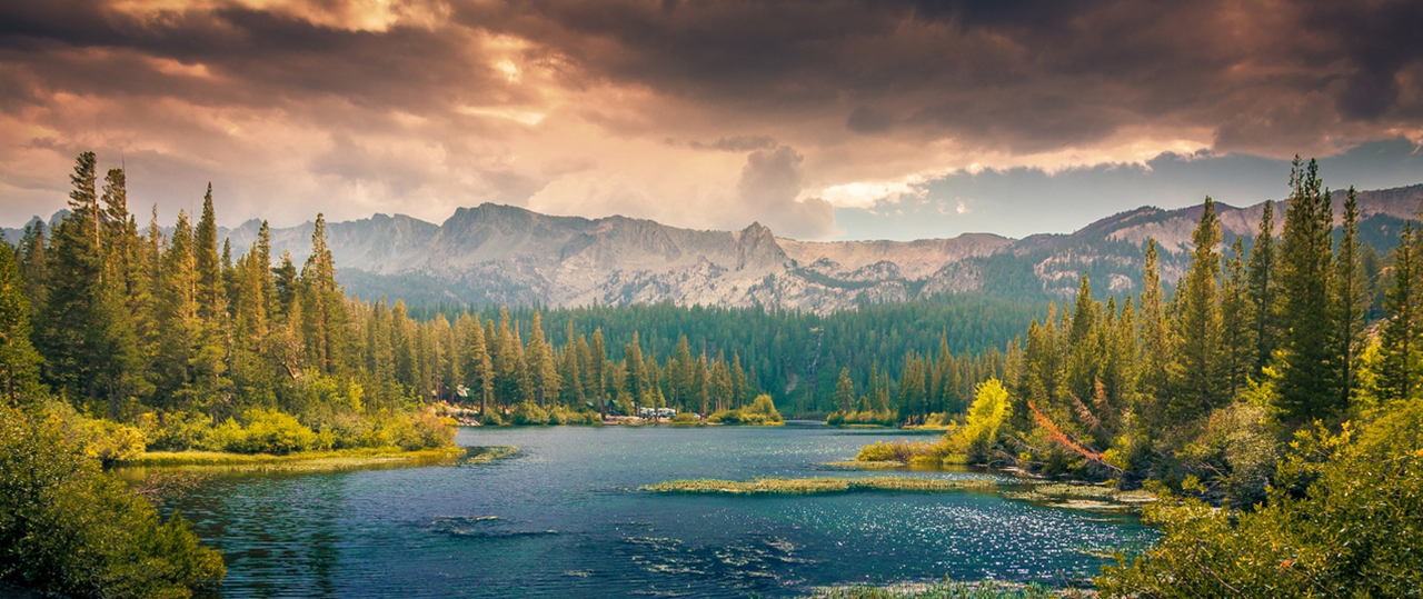 在线手机号轰炸测试