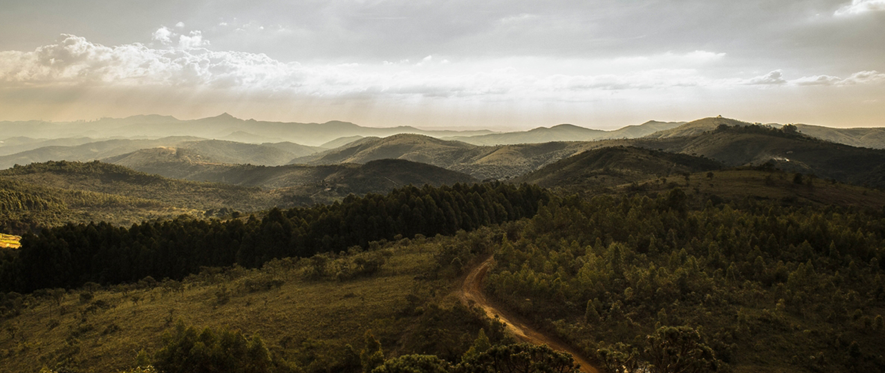 绿色节能环保的免费电话轰炸