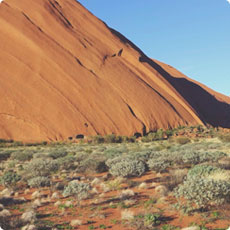 短信轰在线轰炸免费网站