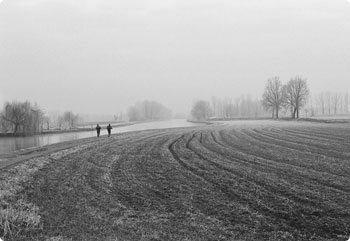 手机号在线轰炸